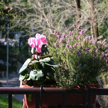 B&B I Ghiri Бергамо Екстериор снимка